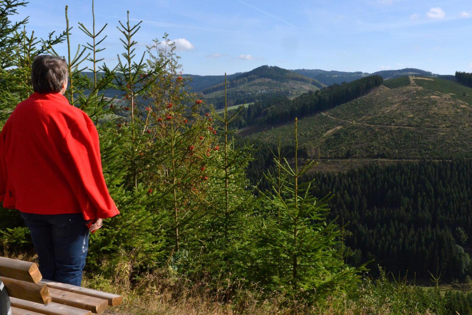 Berghotel Hoher Knochen Winterberg Ngoại thất bức ảnh